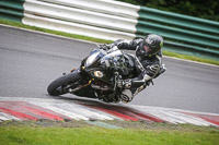 Middle Group Black Bikes